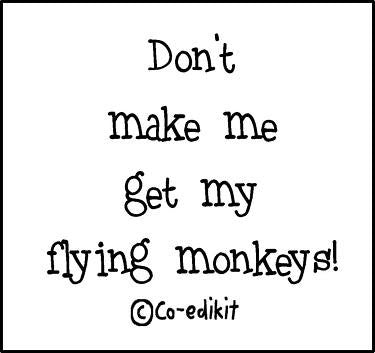 Flying Monkey Coaster
